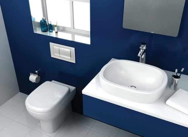 colour bathroom navy 3